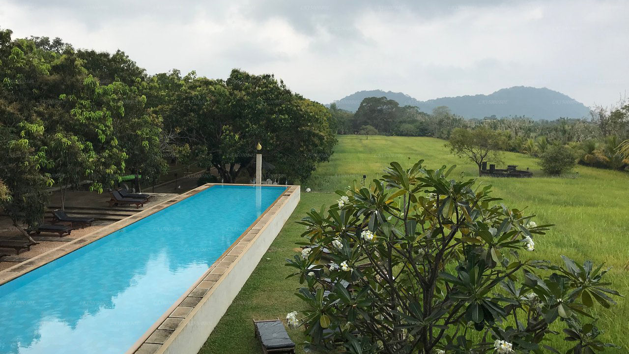 Sigiriana Resort vid Thilanka, Dambulla