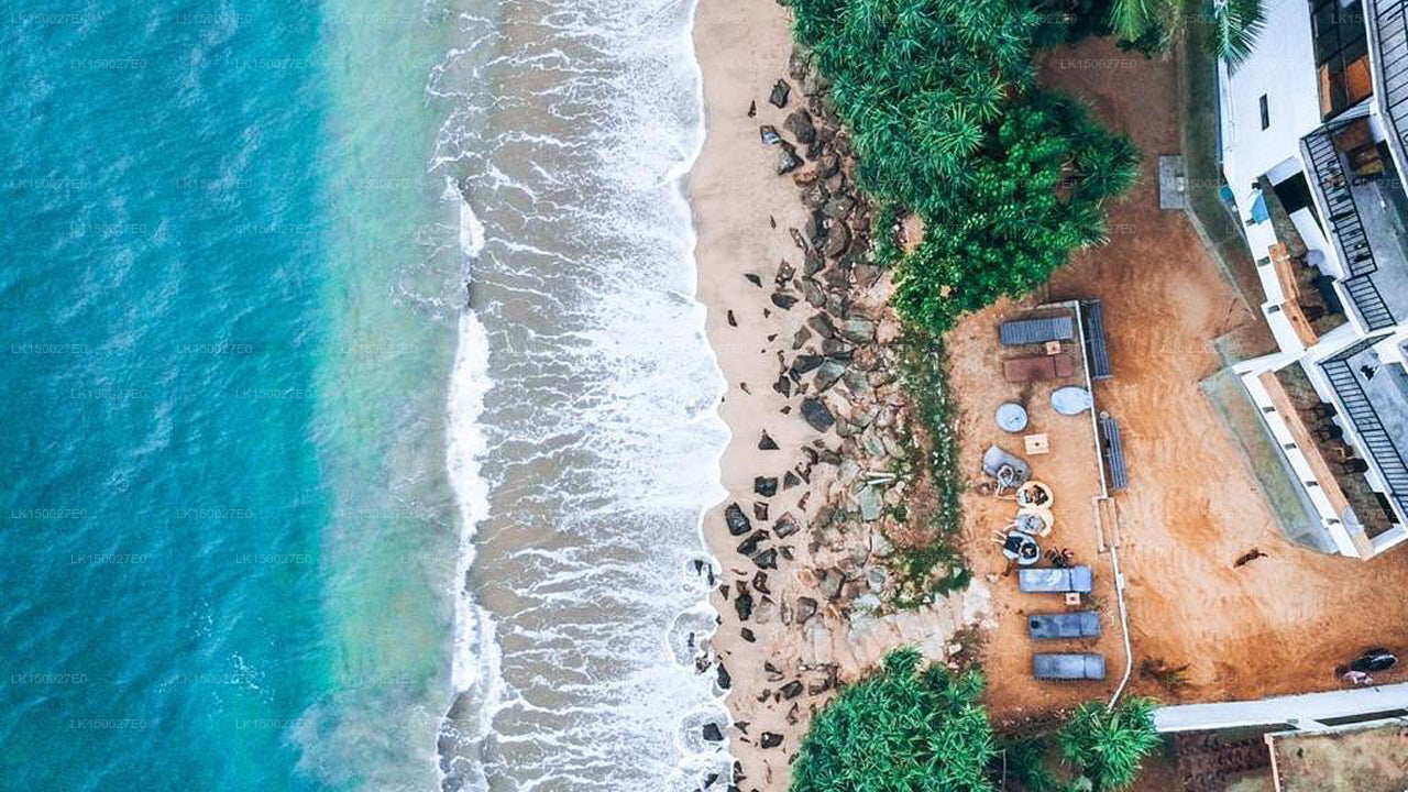 Satori Beach Hostel, Mirissa