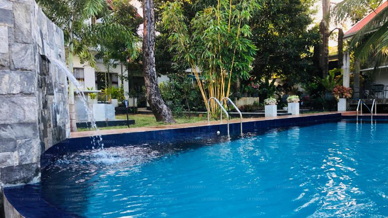 White Land City Hotell, Dambulla