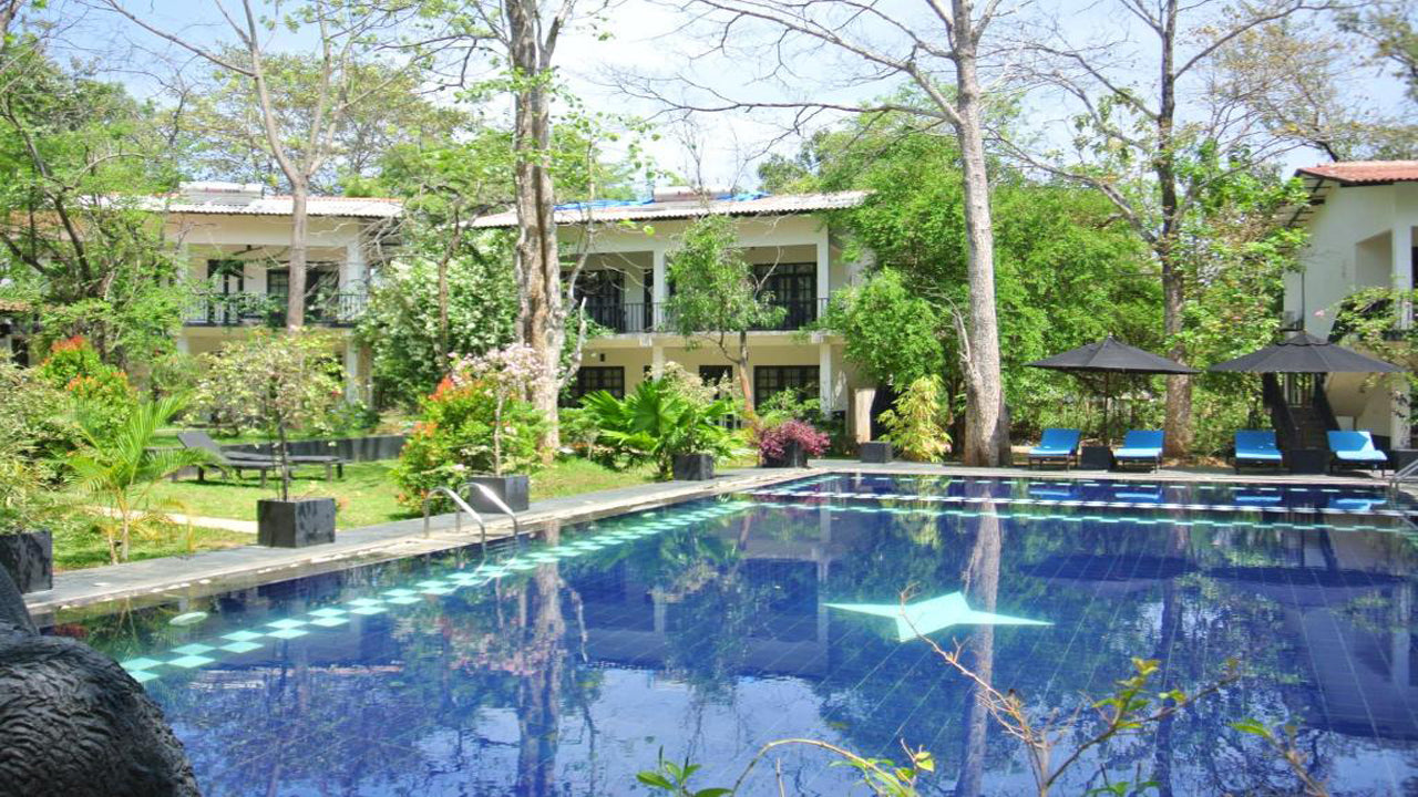 Blomsterträdgård Eco Village, Sigiriya