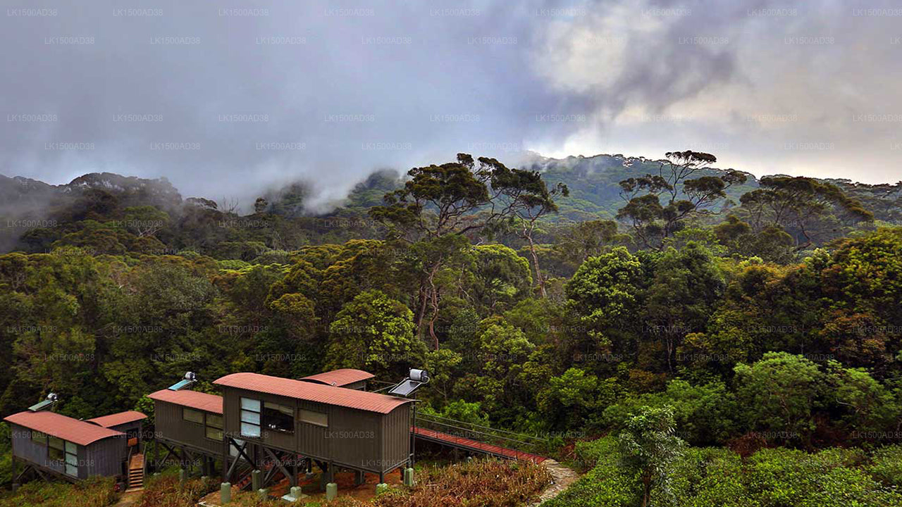 Rainforest Ecolodge, Sinharaja