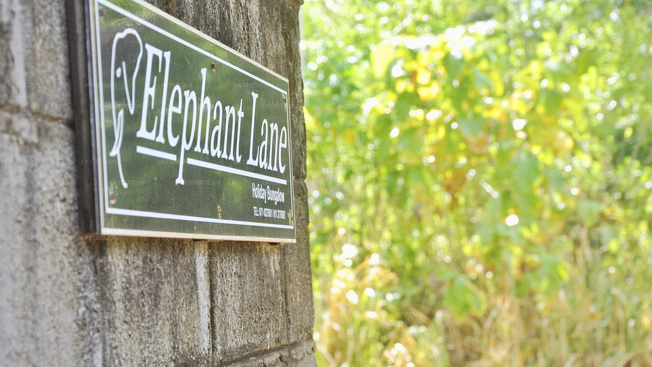 Elephant Lane Holiday Resort, Udawalawe