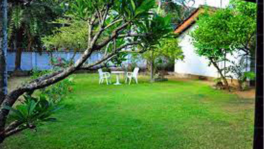 Cottage Garden, Mount Lavinia