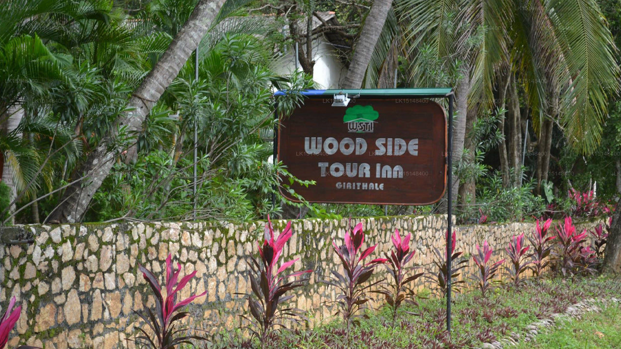 Wood Side Tour Inn, Giritale