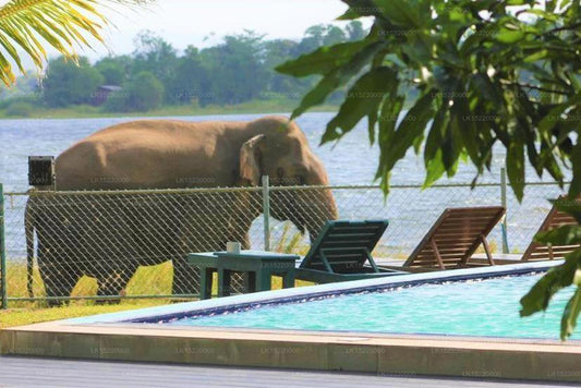 Hotell Lake Park, Polonnaruwa