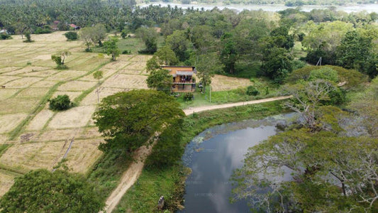 Loftet vid sjön, Kurunegala