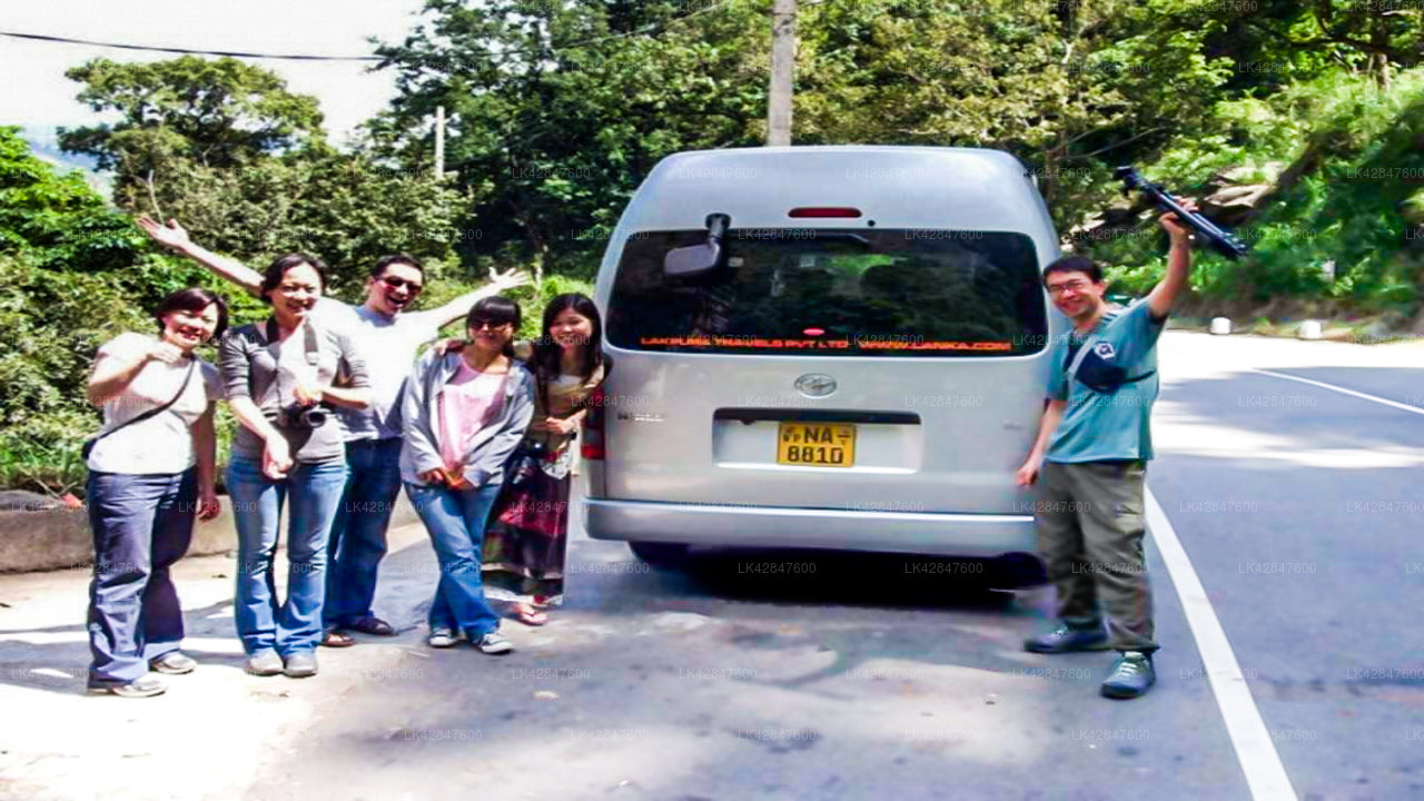 Weligama City to Yala City Private Transfer