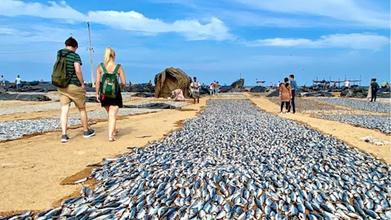 Negombo City Tour från Colombo