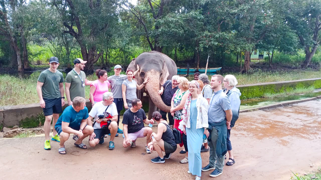 Elefant Tillbaka Safari från Habarana