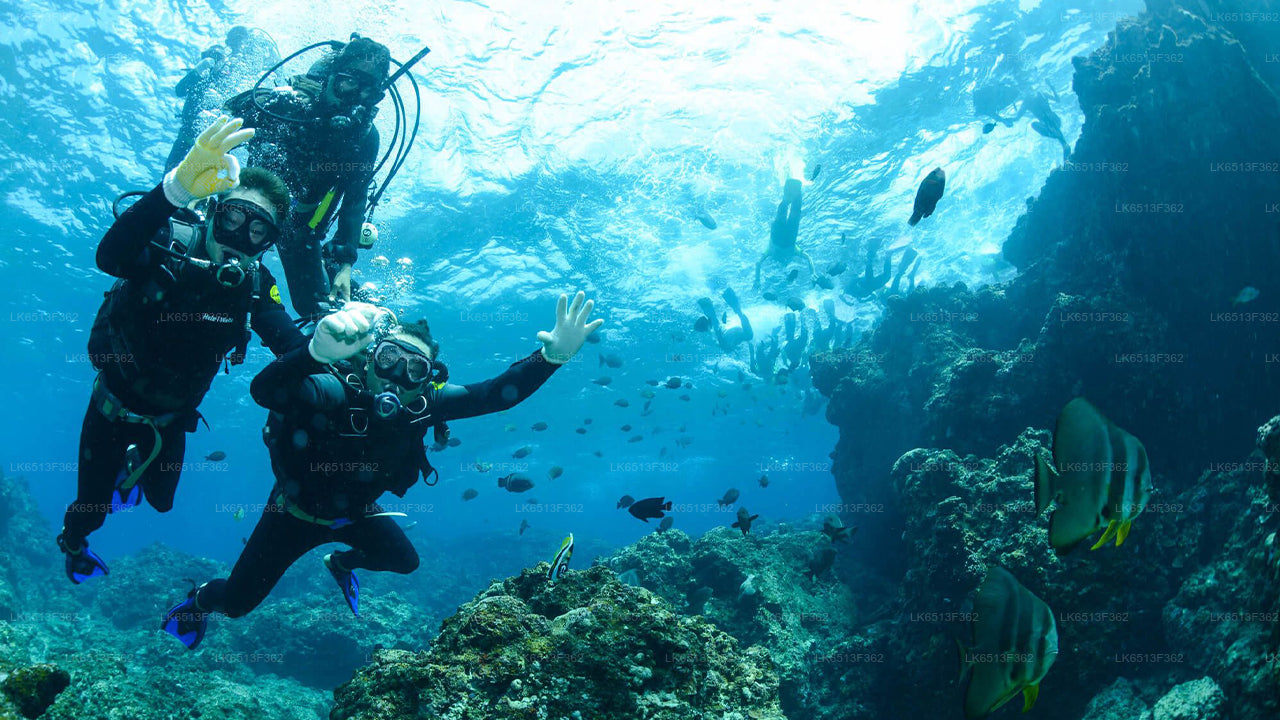 Discover Scuba Diving in Bentota