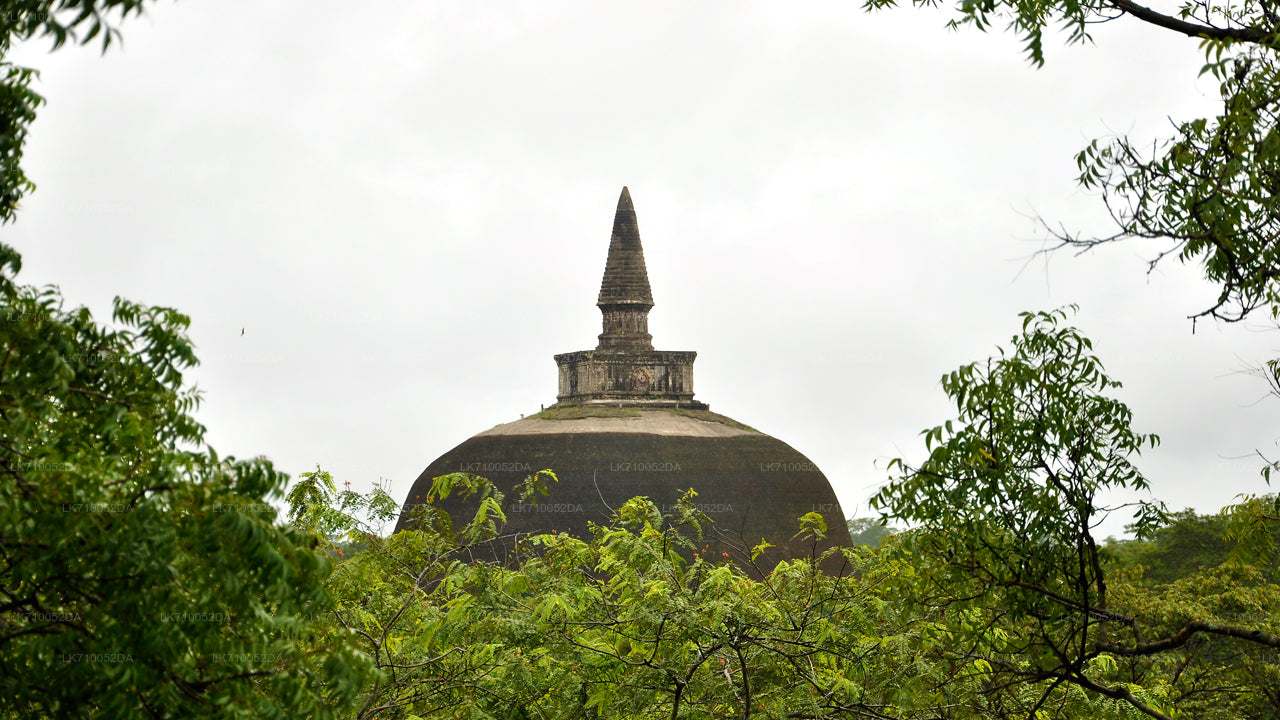 Entrébiljett till Polonnaruwa arkeologiska plats