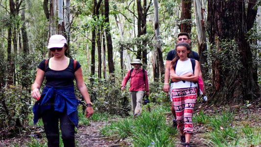 Vandring till Heeloya Village från Kandy