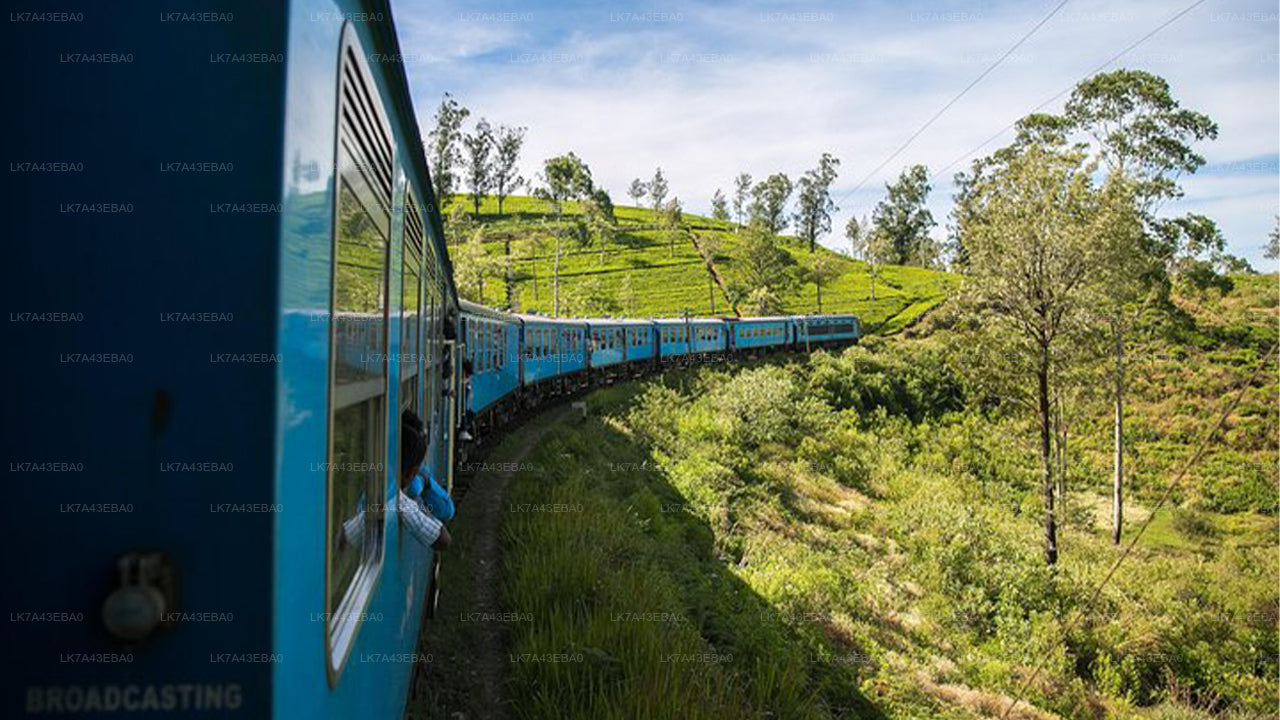 Tågbiljettbokning från Kandy till Ella, Nanu Oya, och Badulla