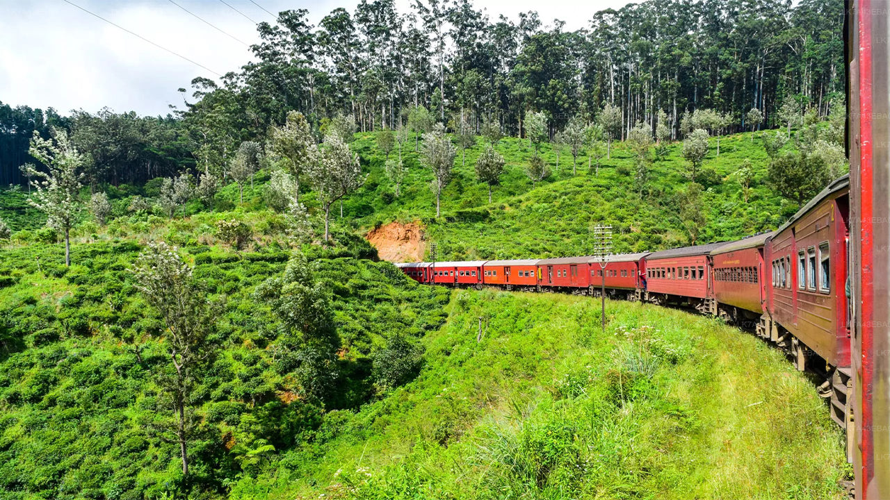 Tågbiljettbokning från Kandy till Ella, Nanu Oya, och Badulla