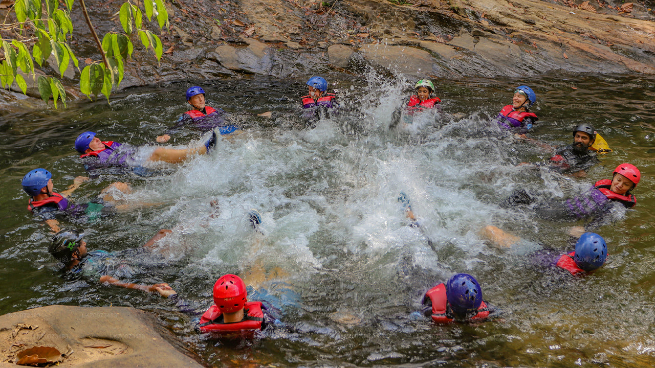 Avancerad canyoning från Kitulgala