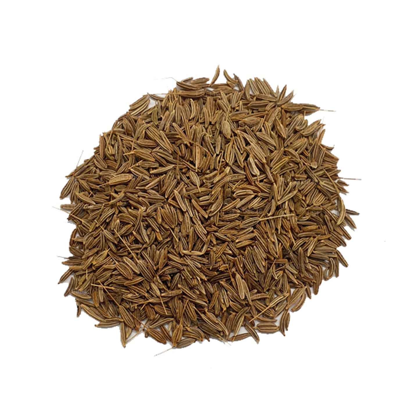 Lakpura Fennel Seeds Whole