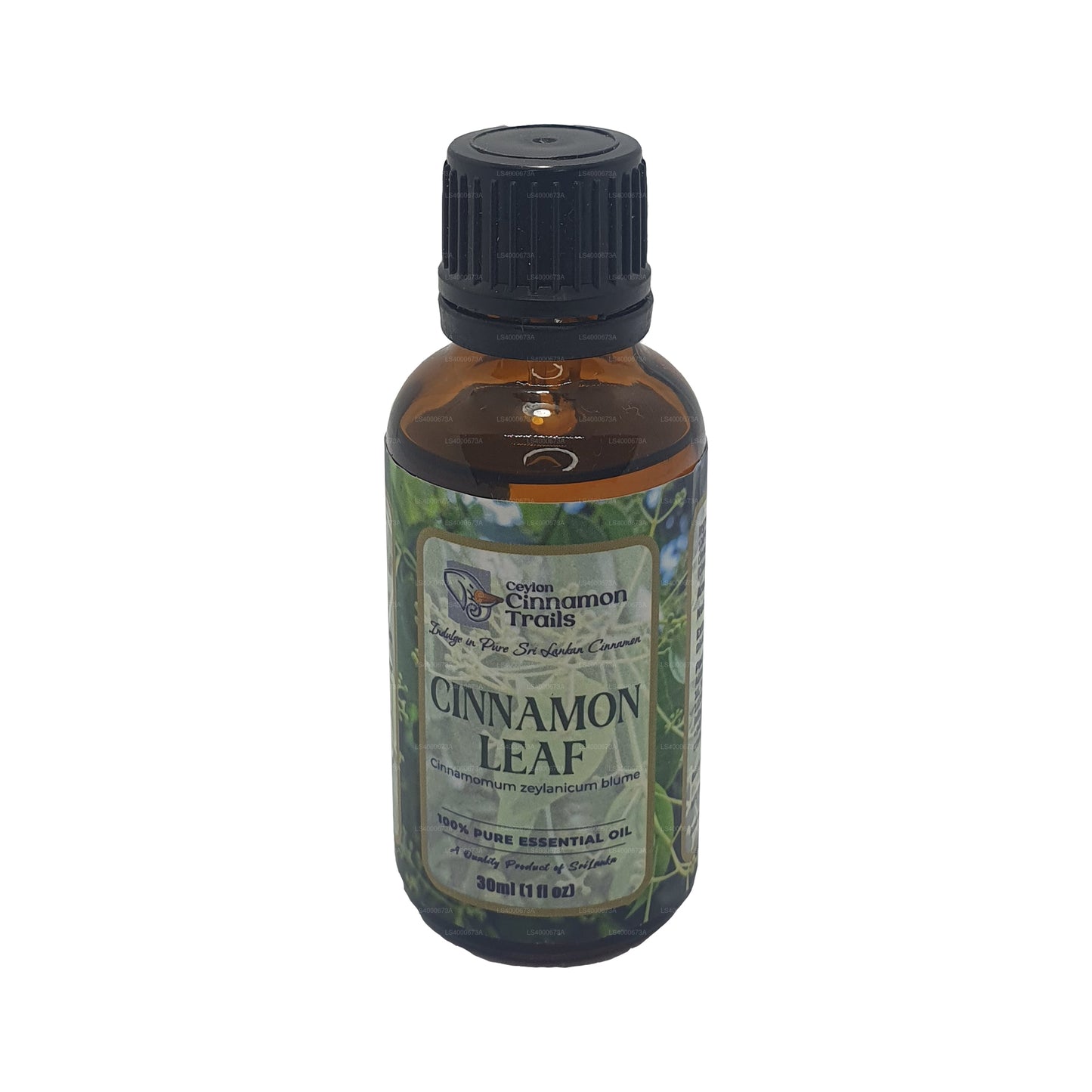 Ceylon Cinnamon Trails Essentiell olja med kanelblad (10ml)