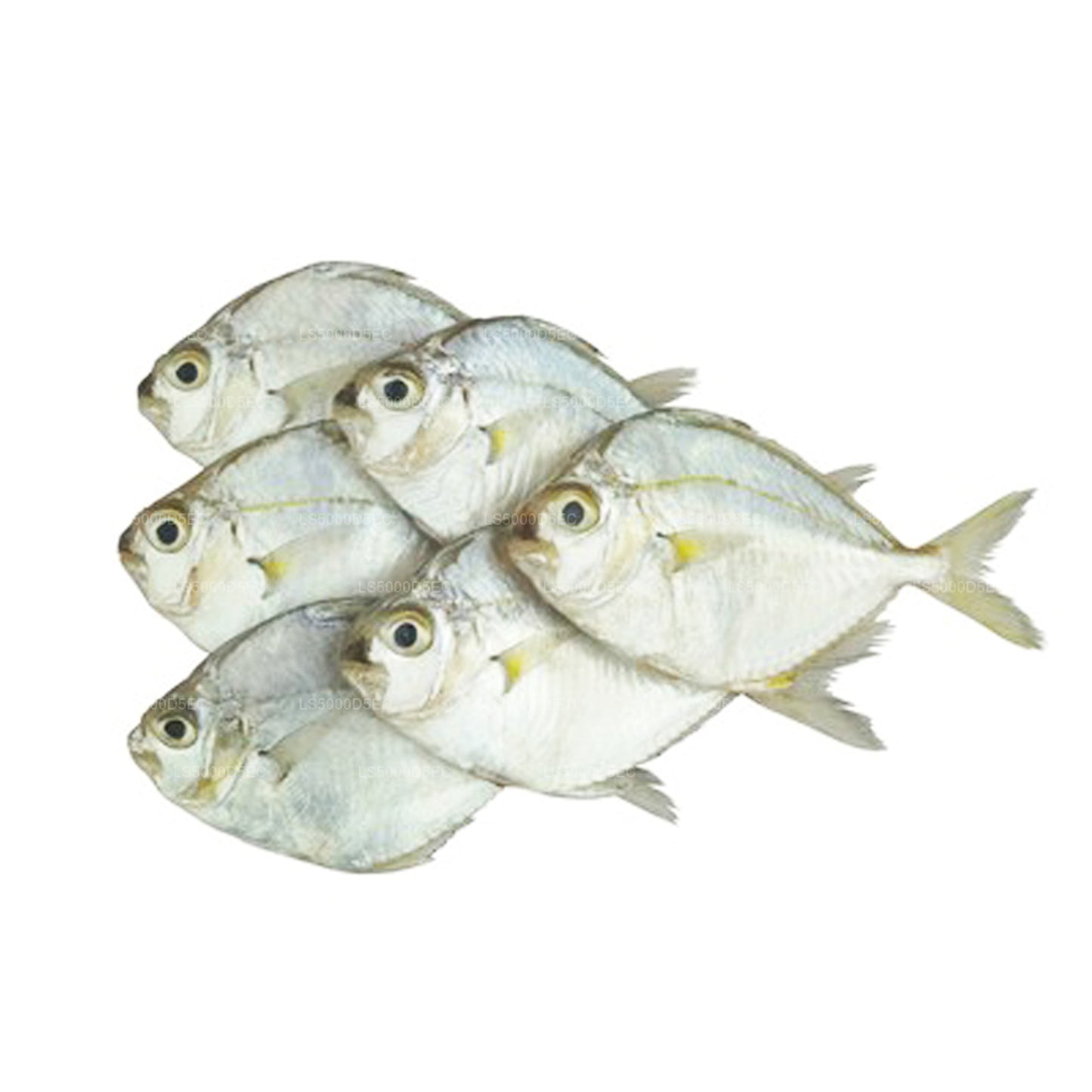 Lakpura Torkad Ponnyfisk (200g)