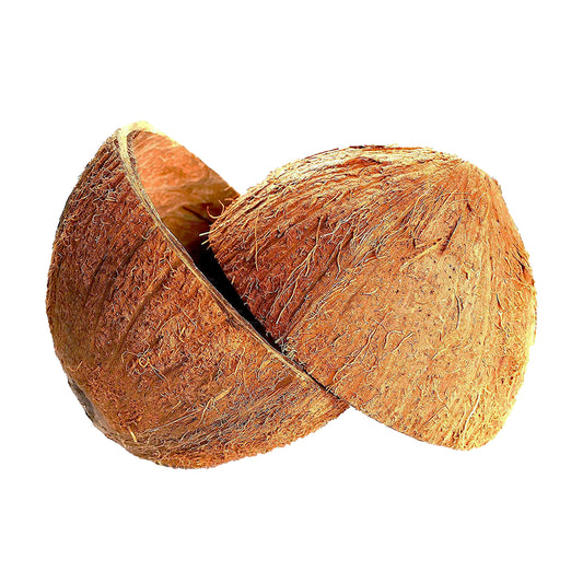 Coconut Shell Halvor (2 st)