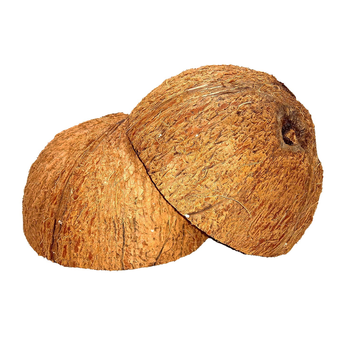 Coconut Shell Halvor (2 st)
