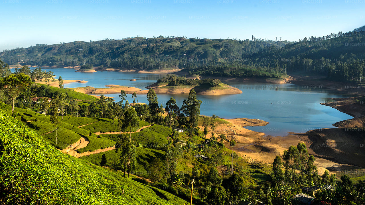 Nuwara Eliya från Negombo (2 Dagar)