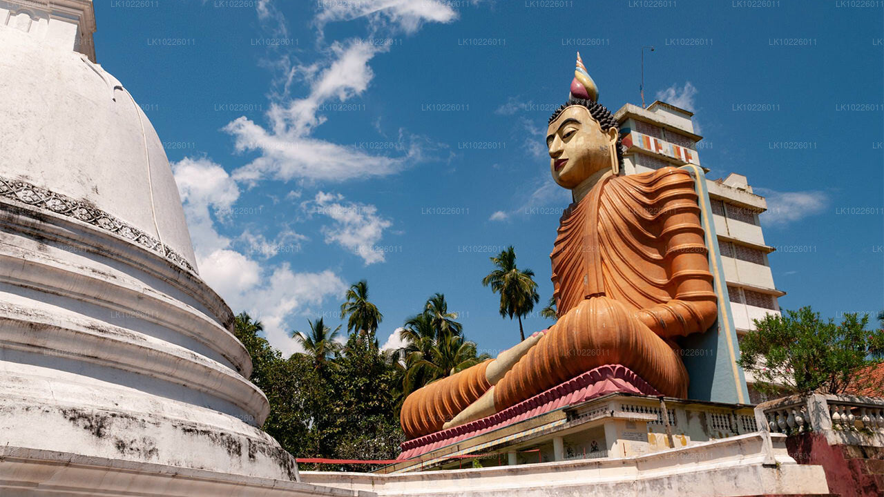Tempel och vildmark från Negombo (2 dagar)