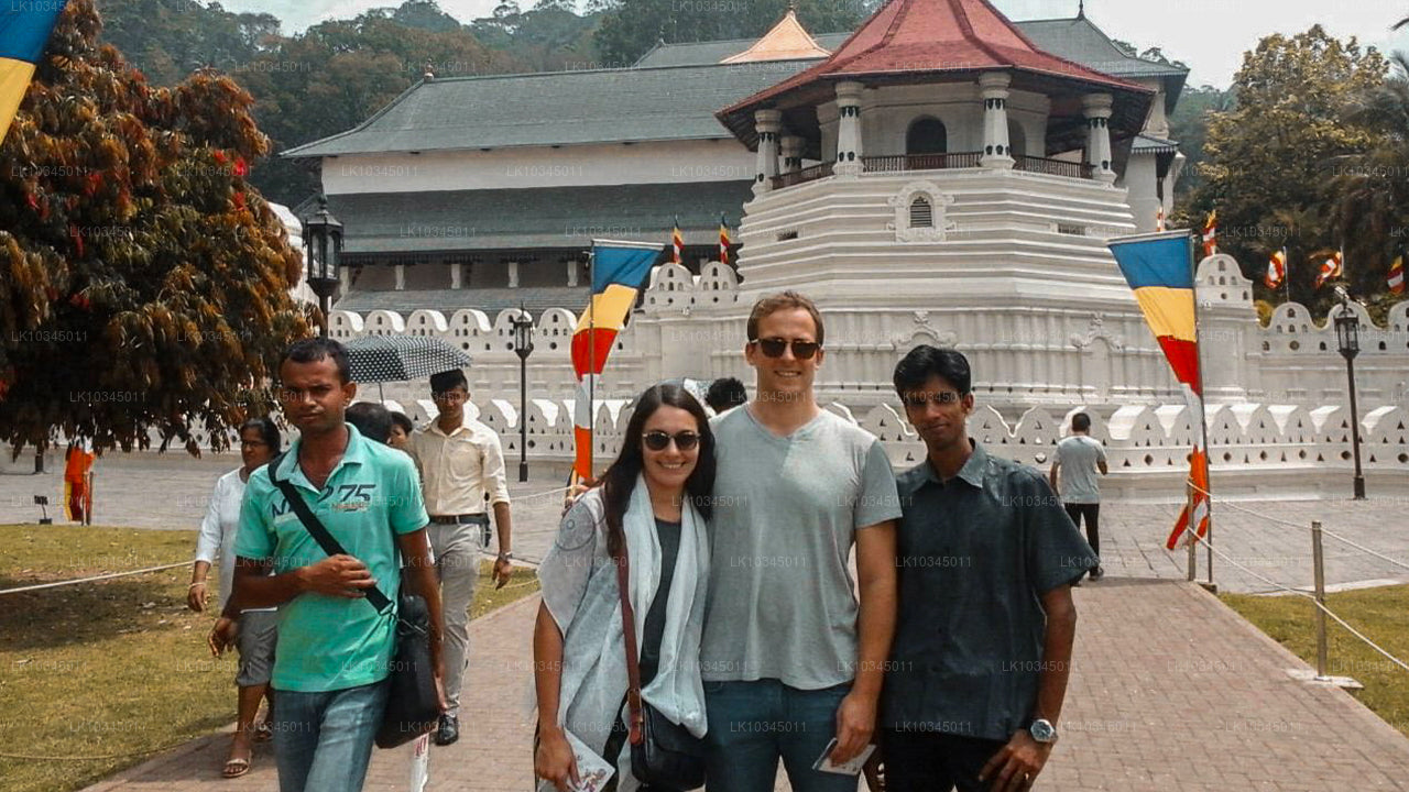 Sista kungariket Sri Lanka från Colombo (3 dagar)