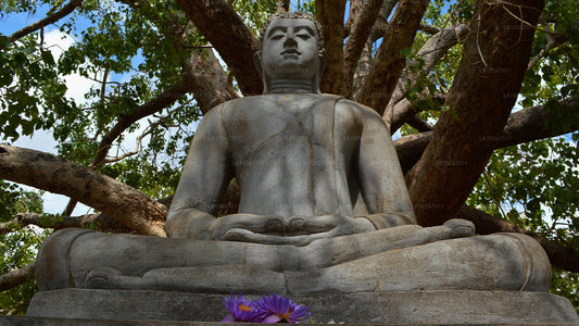 Heliga staden Anuradhapura från Colombo (3 dagar)