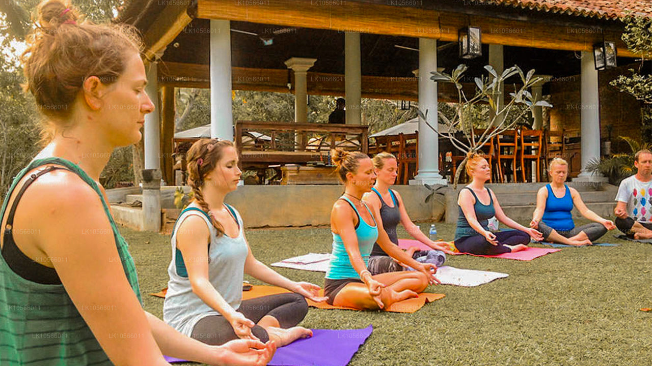 Meditation och Yoga Tour (5 Dagar)