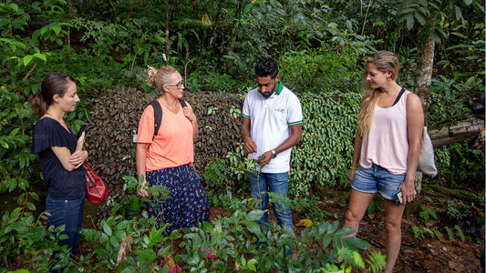 Agro Tour i Sri Lanka (5 Dagar)