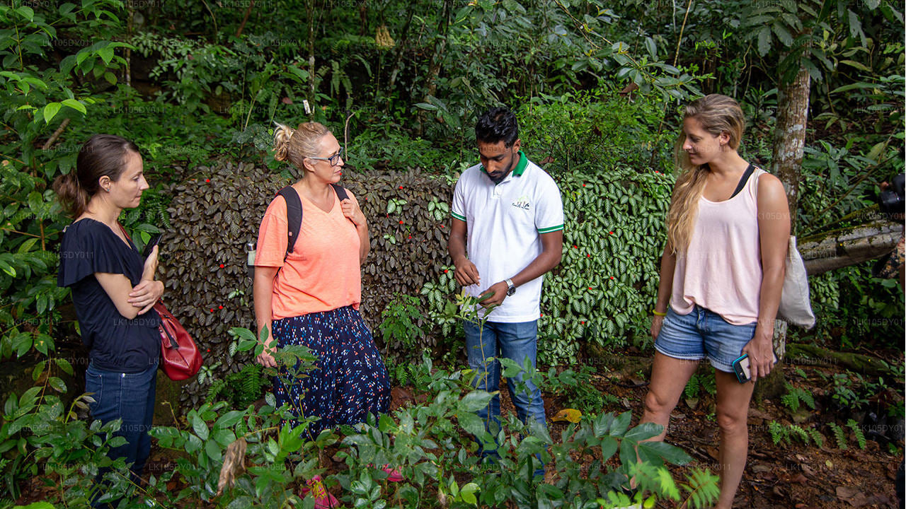 Agro Tour i Sri Lanka (6 Dagar)
