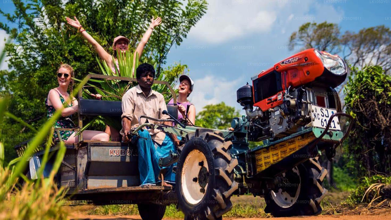 Agro Tour i Sri Lanka (6 Dagar)