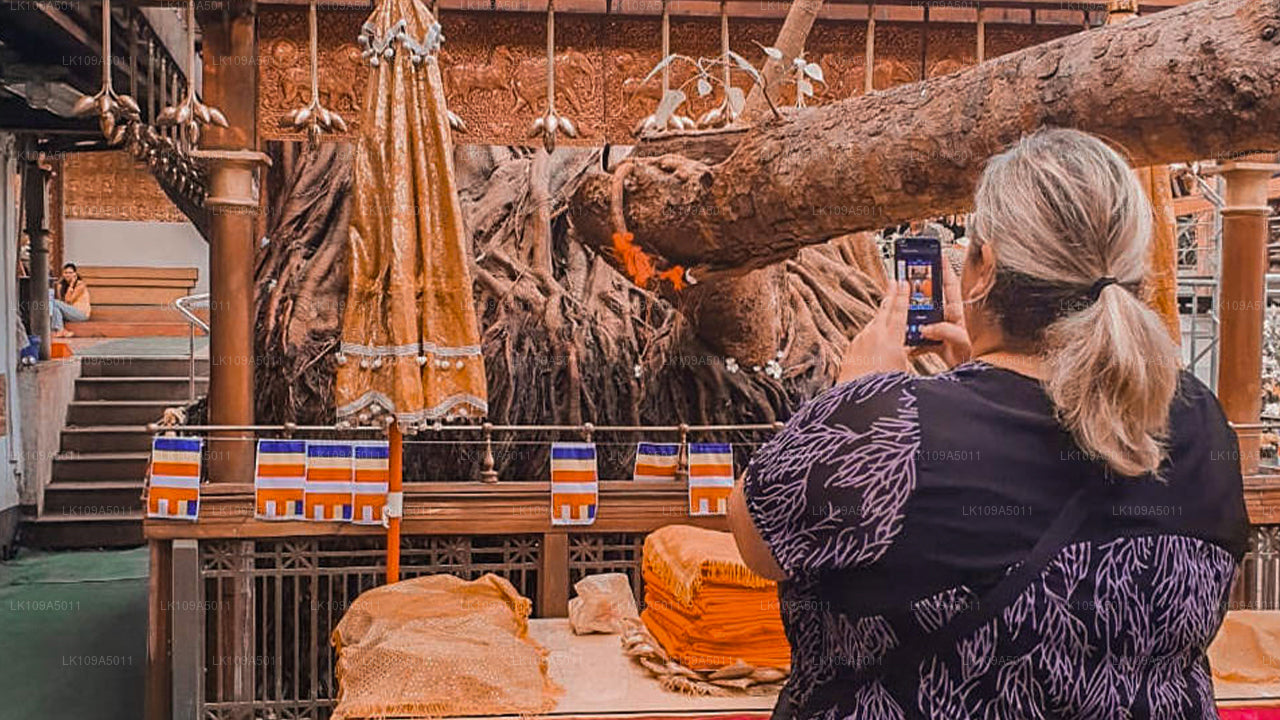 Buddhistisk pilgrimsfärdstur (9 dagar)