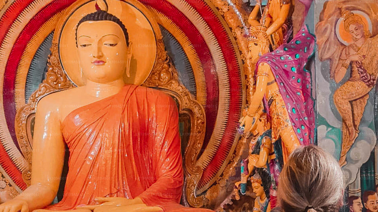 Buddhistisk pilgrimsfärdstur (9 dagar)