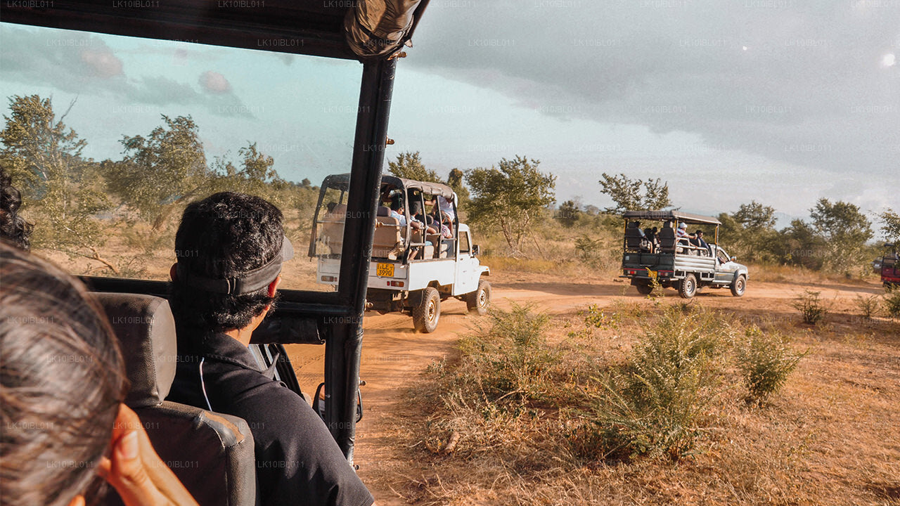 Förtrollande Sri Lanka (18 Dagar)