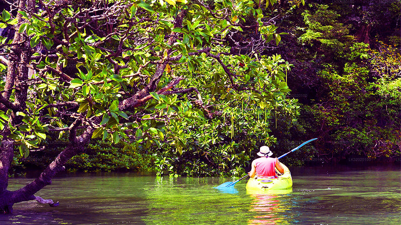 Paddla kanot i Mahaweli River från Kandy
