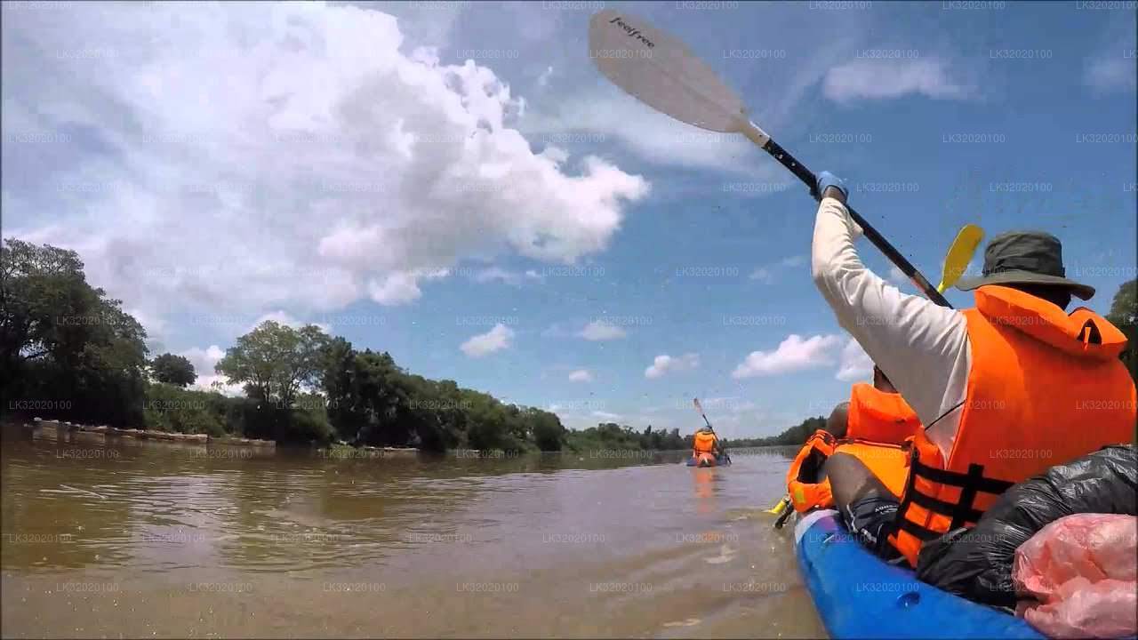 Paddla kanot i Mahaweli River från Kandy