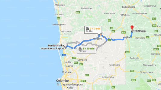 Colombo Airport (CMB) to Pinnawala City Private Transfer