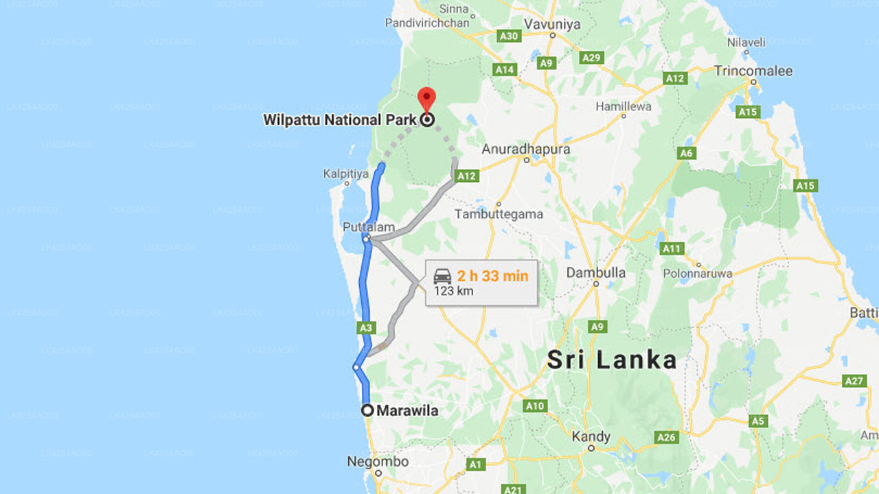 Marawila City to Wilpattu City Private Transfer