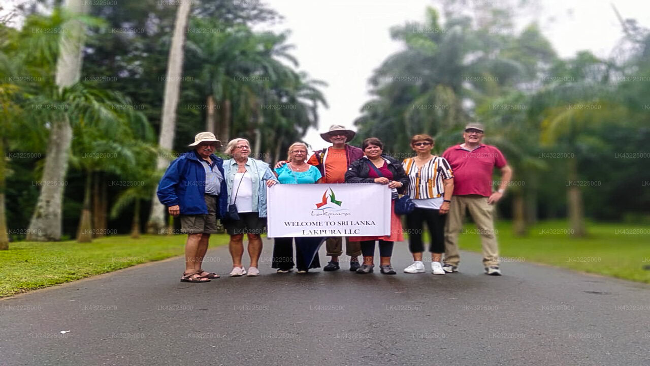 Transfer between Colombo Airport (CMB) and Oak Ray Tea Bush, Ramboda