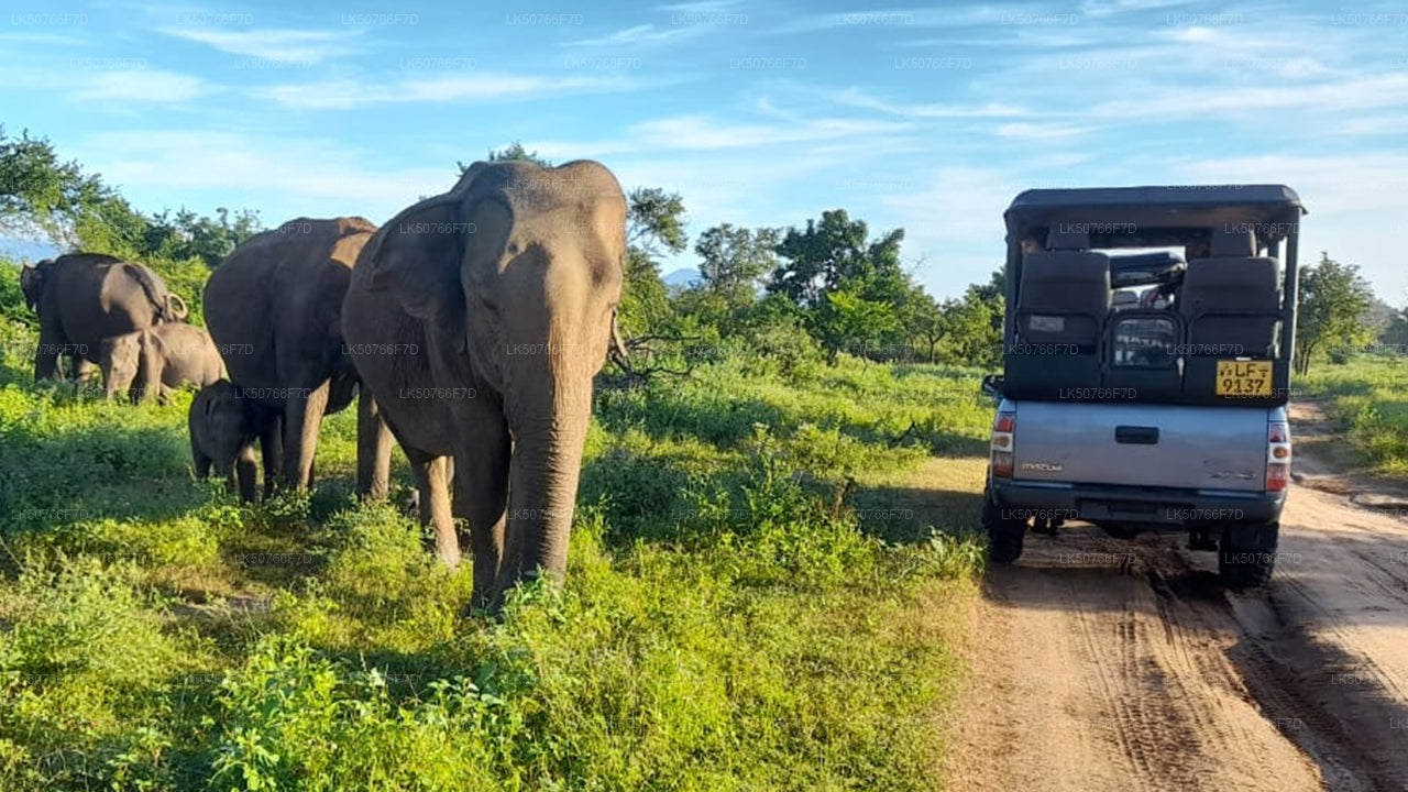 Udawalawe National Park Privat Safari med naturforskare
