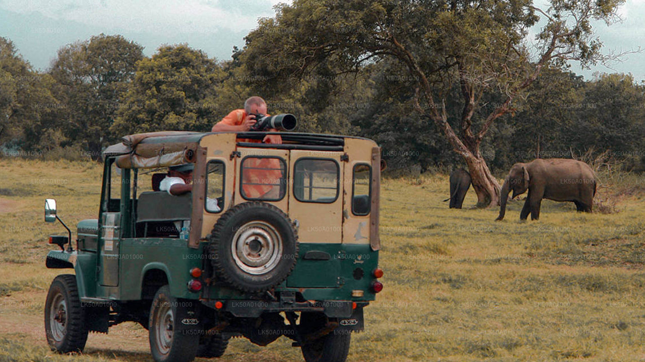 Udawalawe nationalpark Privat Safari