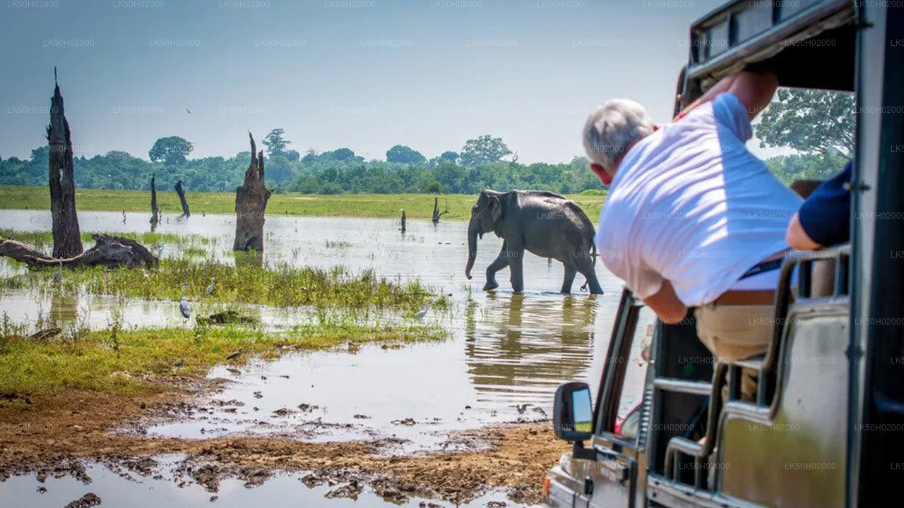 Bundala National Park Private Safari with Naturalist