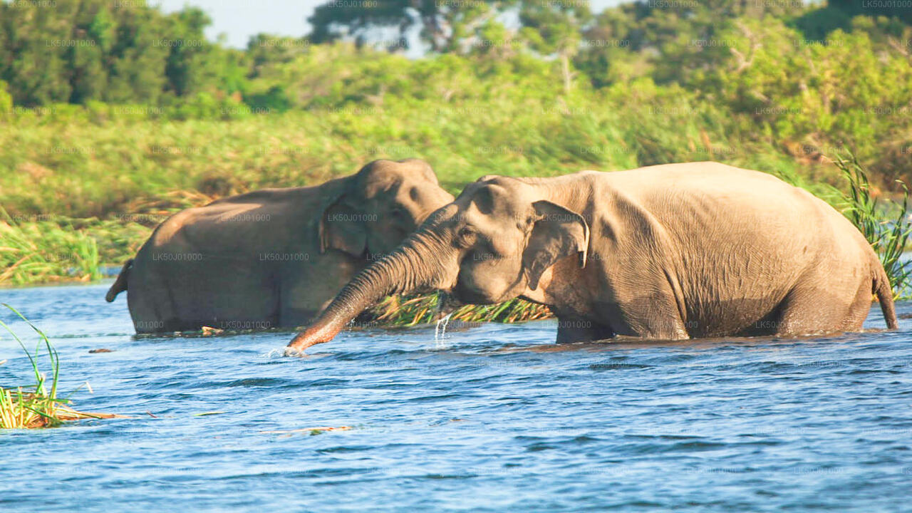 Gal Oya Nationalpark Privat Safari