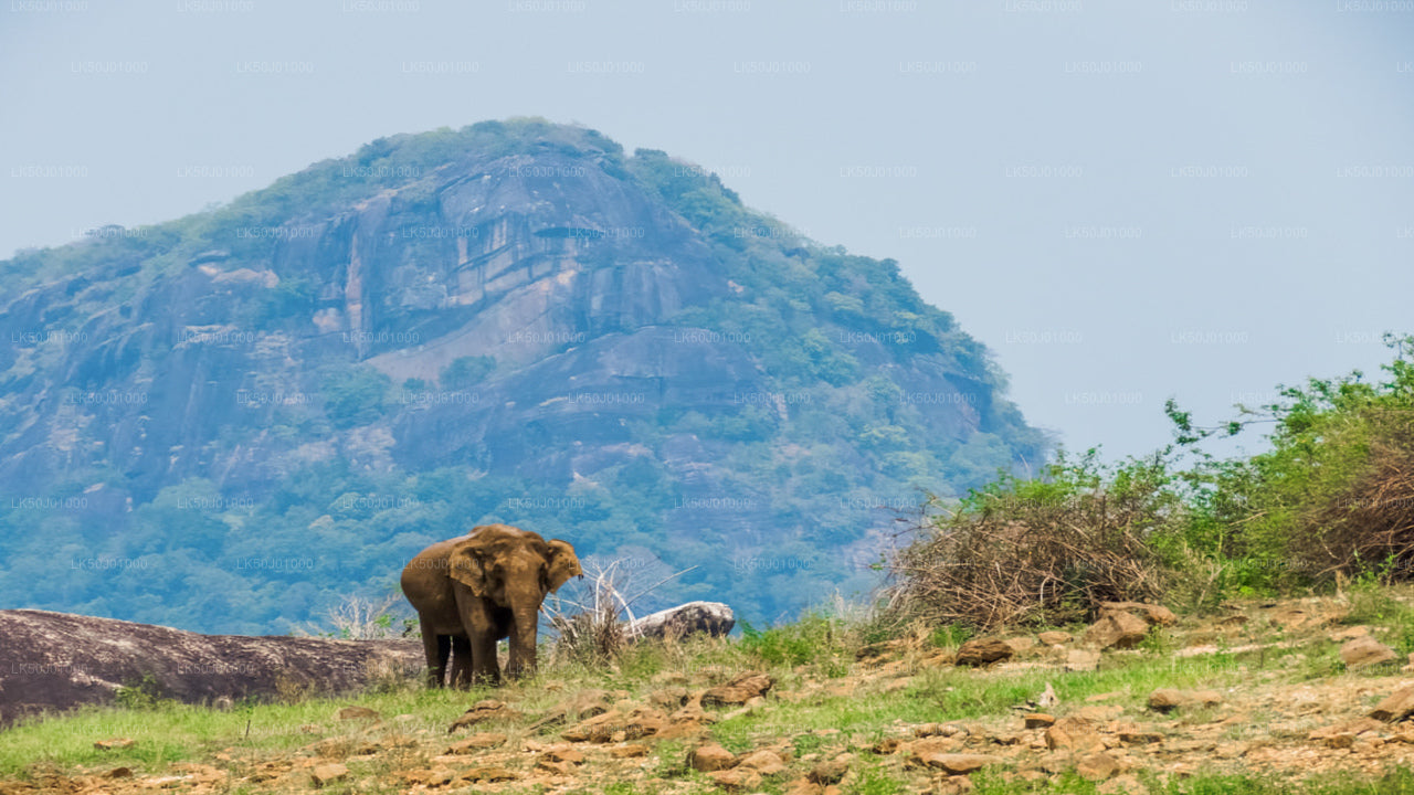 Gal Oya Nationalpark Privat Safari