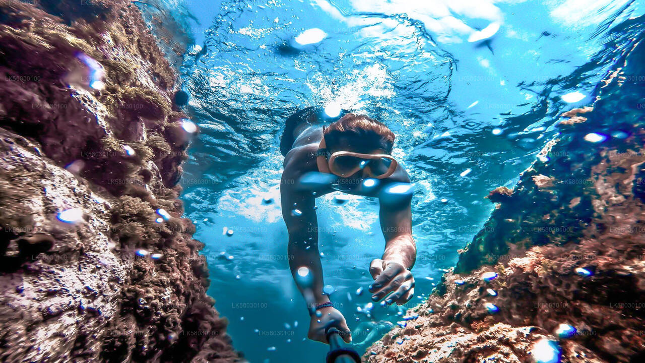 Snorkling från Bentota