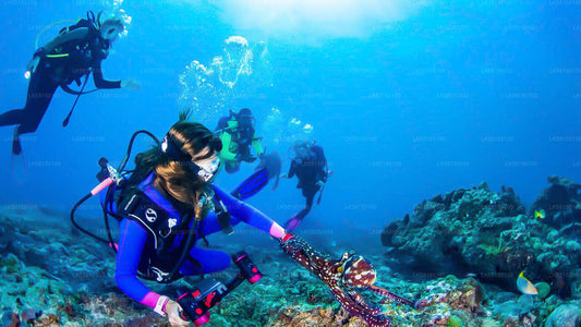 Snorkeling in Talawila St. Anne's Reef from Kalpitiya