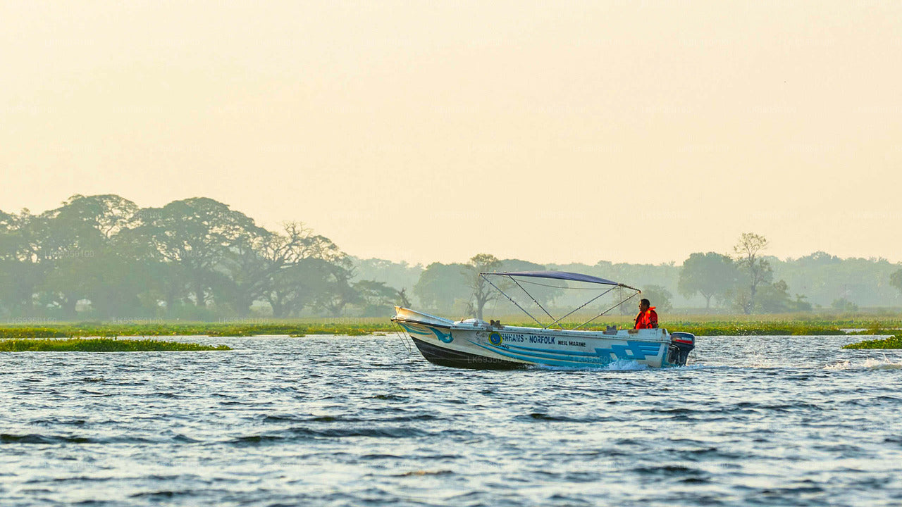 Lake Fishing from Tissamaharama