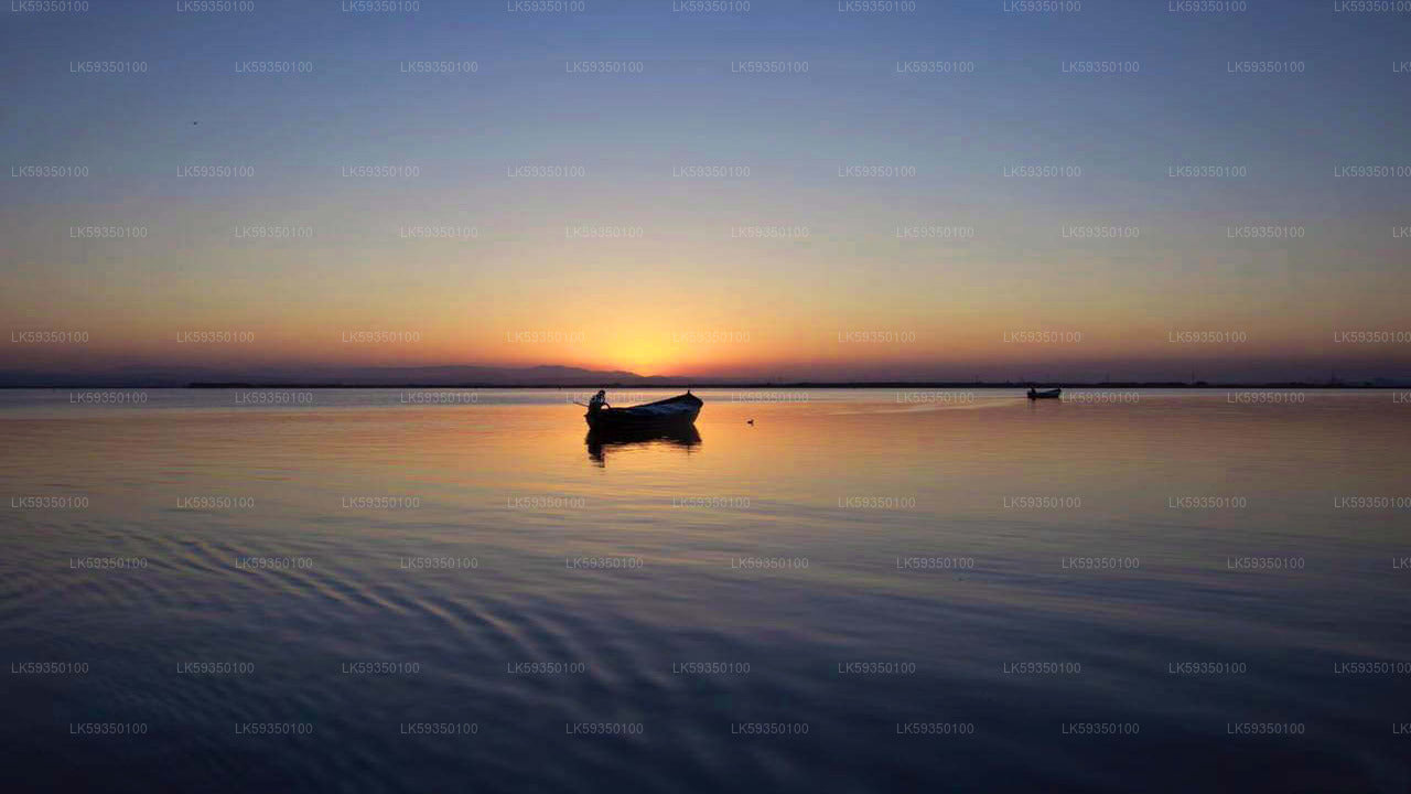 Lake Fishing from Tissamaharama