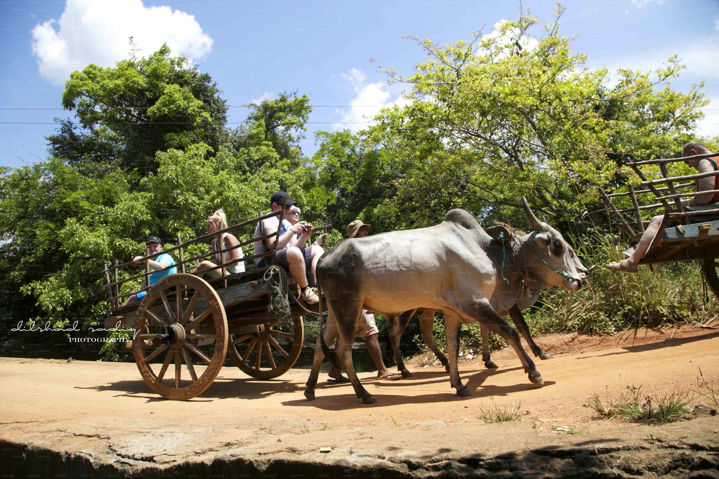 Sigiriya Rock och Village Tour från Colombo